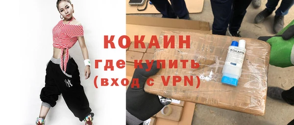 молекула духа Богданович