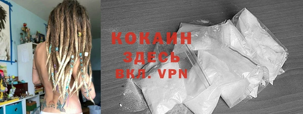 молекула духа Богданович