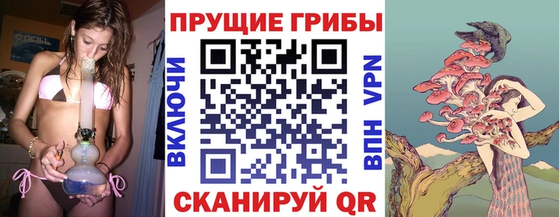 Галлюциногенные грибы MAGIC MUSHROOMS  Белоозёрский 